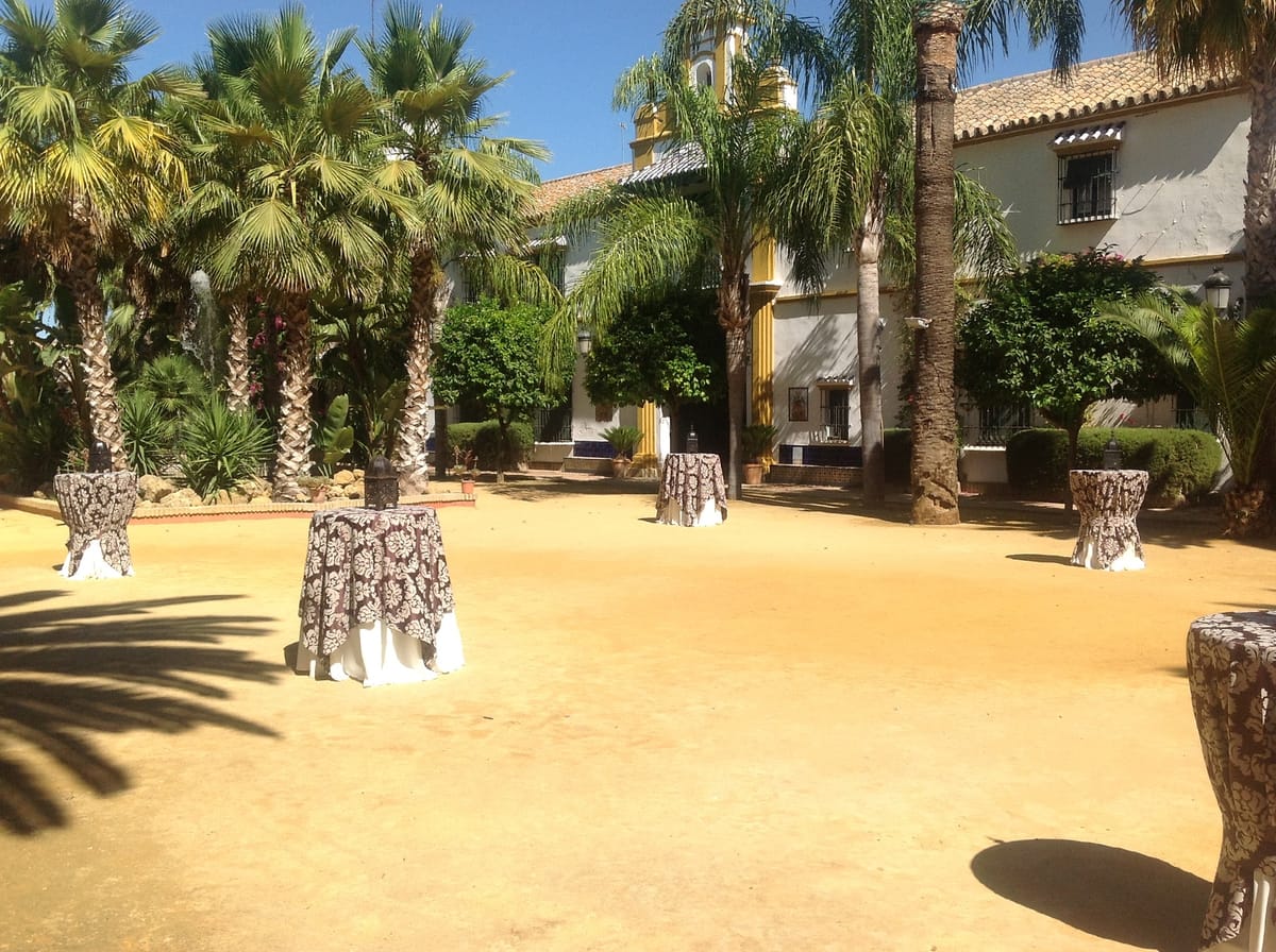 El Patio Principal de la hacienda: palmeras, albero y la espadaña de la capilla sobre la fachada blanca y amarilla